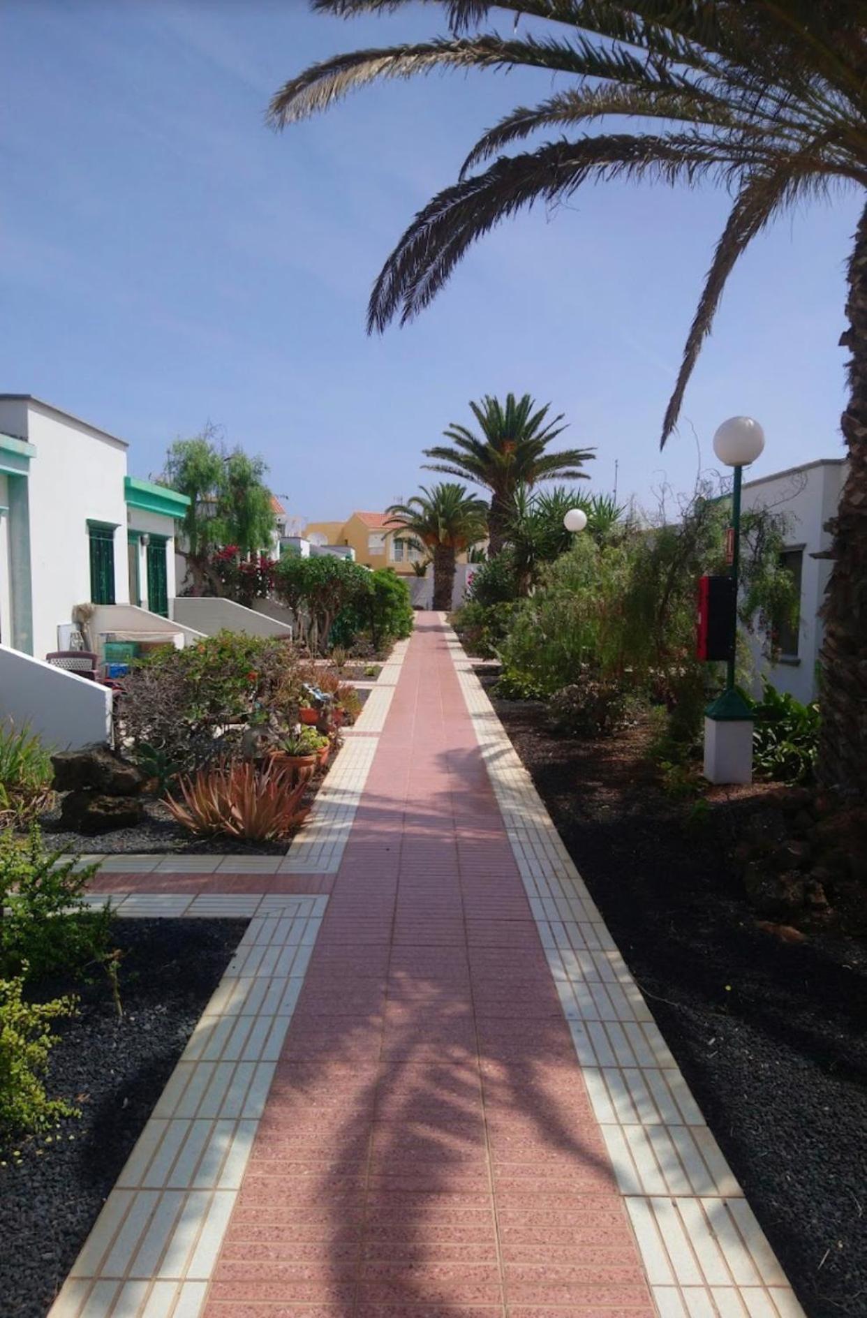 Casa Gioeli Cocosol Villa Costa De Antigua Dış mekan fotoğraf