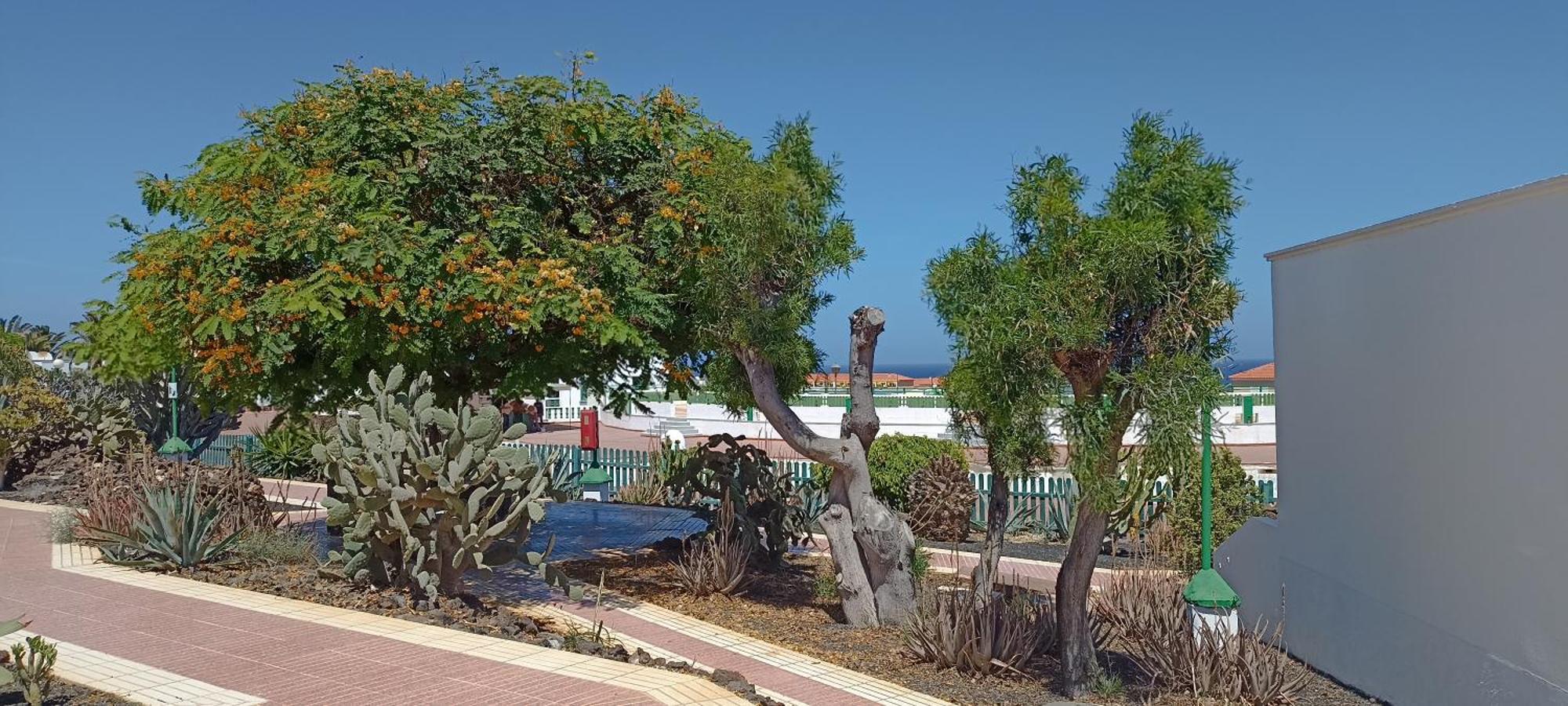 Casa Gioeli Cocosol Villa Costa De Antigua Dış mekan fotoğraf